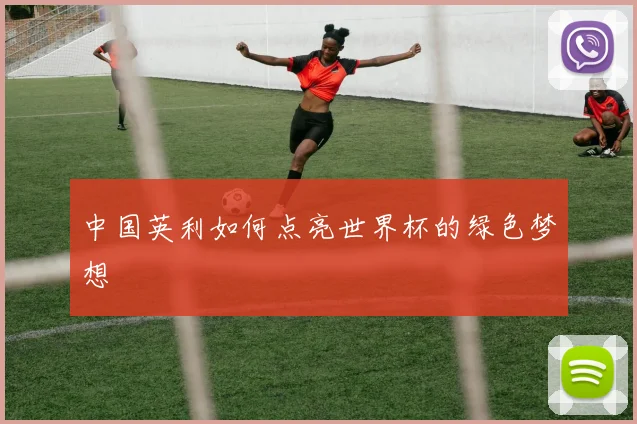 中国英利如何点亮世界杯的绿色梦想