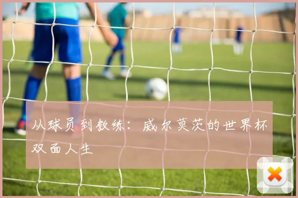 从球员到教练：威尔莫茨的世界杯双面人生