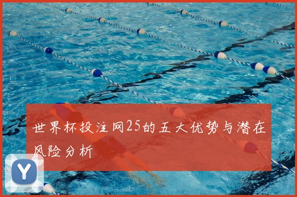 世界杯投注网25的五大优势与潜在风险分析