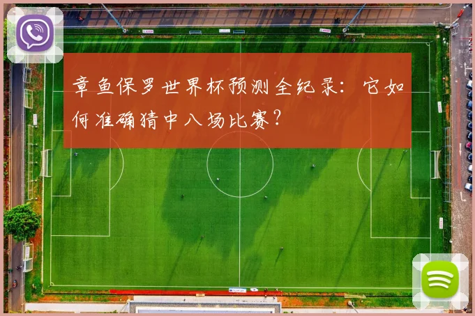 章鱼保罗世界杯预测全纪录:它如何准确猜中八场比赛?