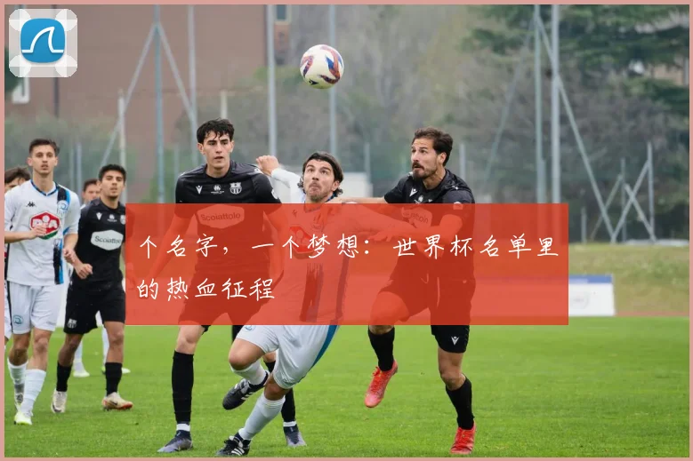 个名字,一个梦想:世界杯名单里的热血征程