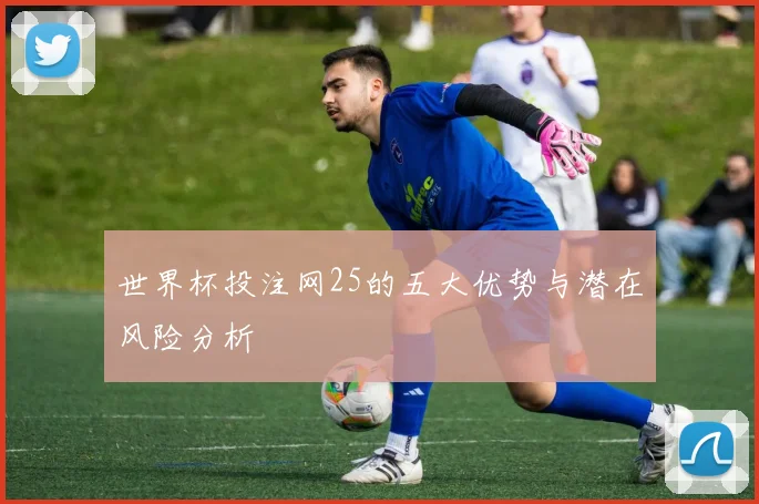 世界杯投注网25的五大优势与潜在风险分析
