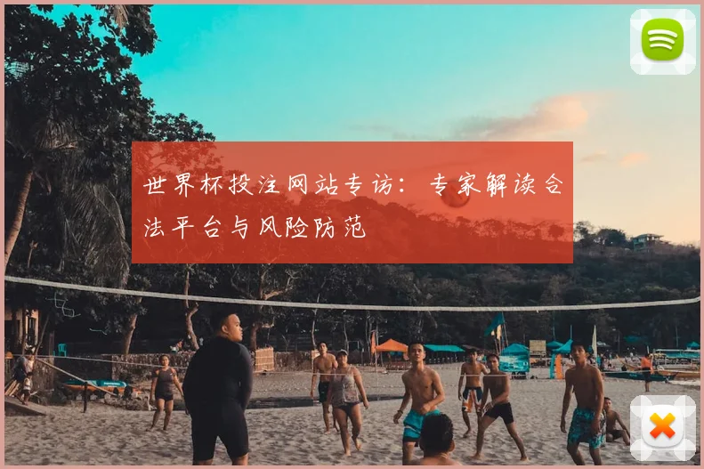 世界杯投注网站专访：专家解读合法平台与风险防范